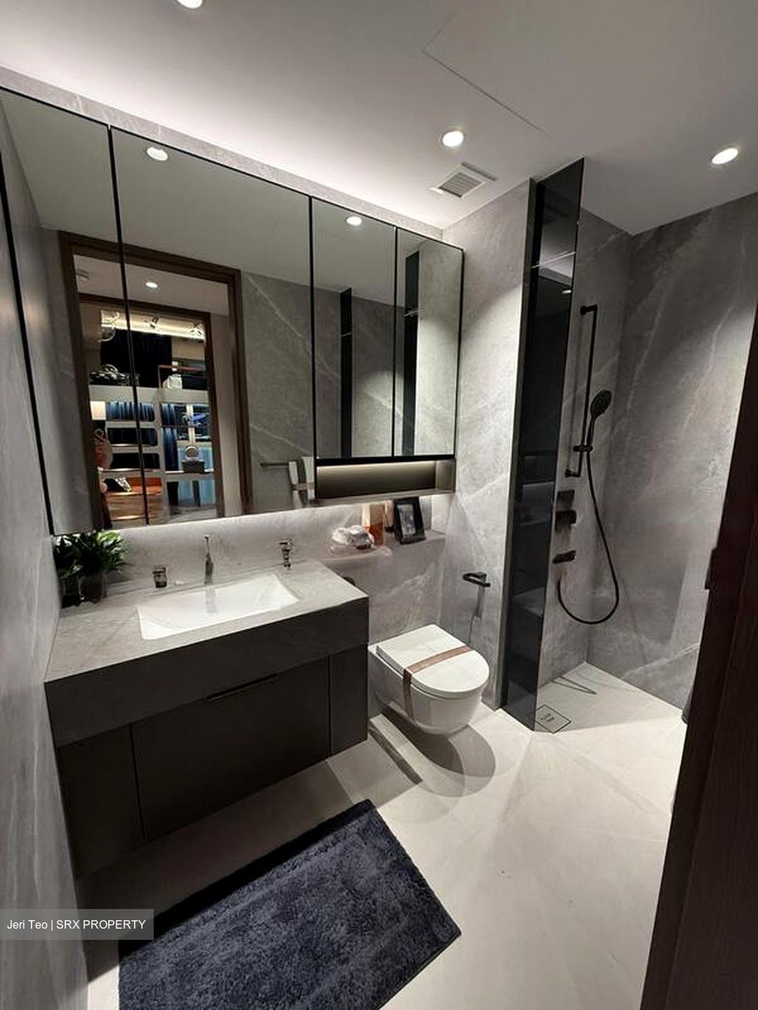 Zion Road (D3), Condominium #463405141